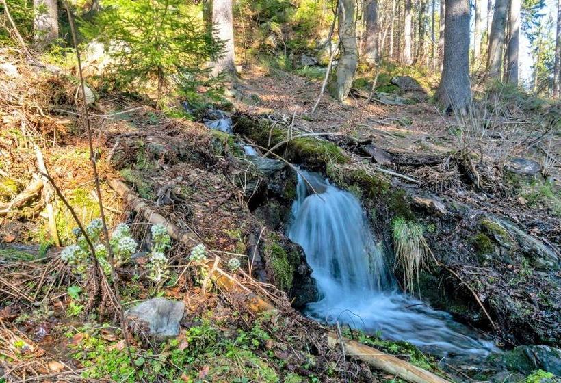 بنسيون Penzion Horajda