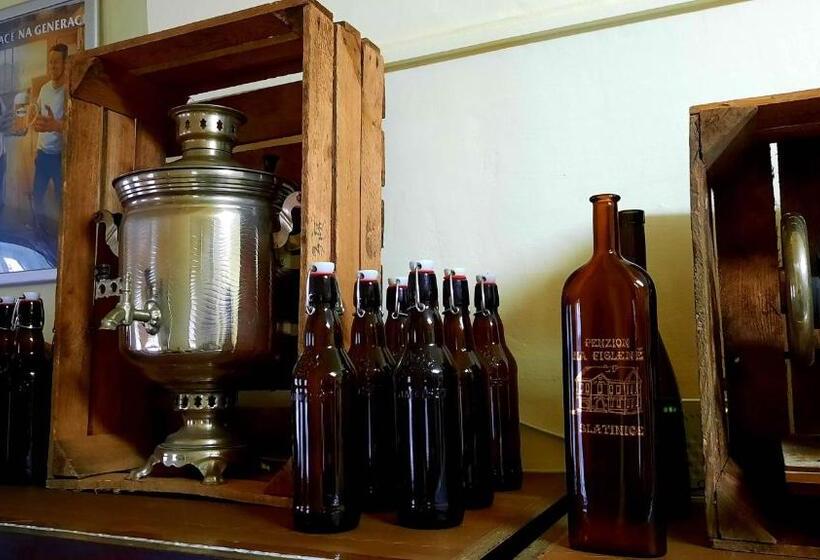 ペンション Penzion Na Figleně