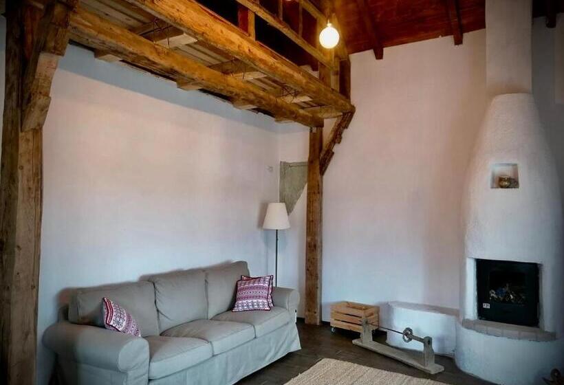 Пансион The Carpathian Lodge