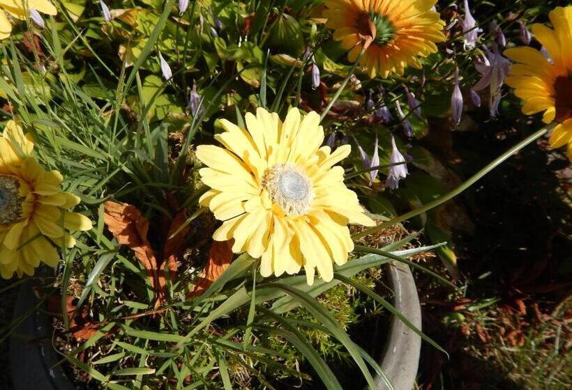 ホテル A Friendly Inn At Harvard