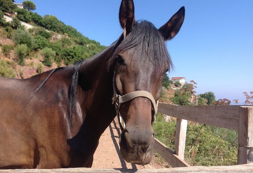 בית מלון כפרי Agriturismo Santa Margherita