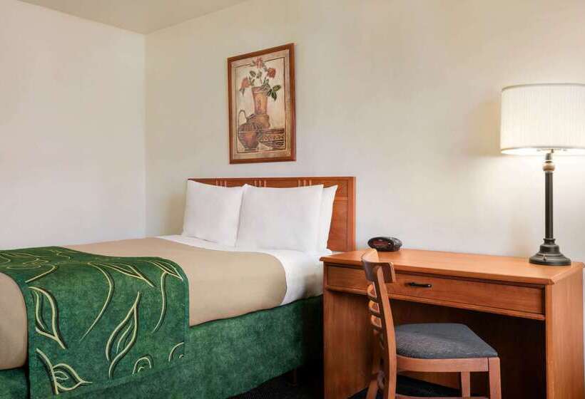 ホテル Baymont By Wyndham Buffalo