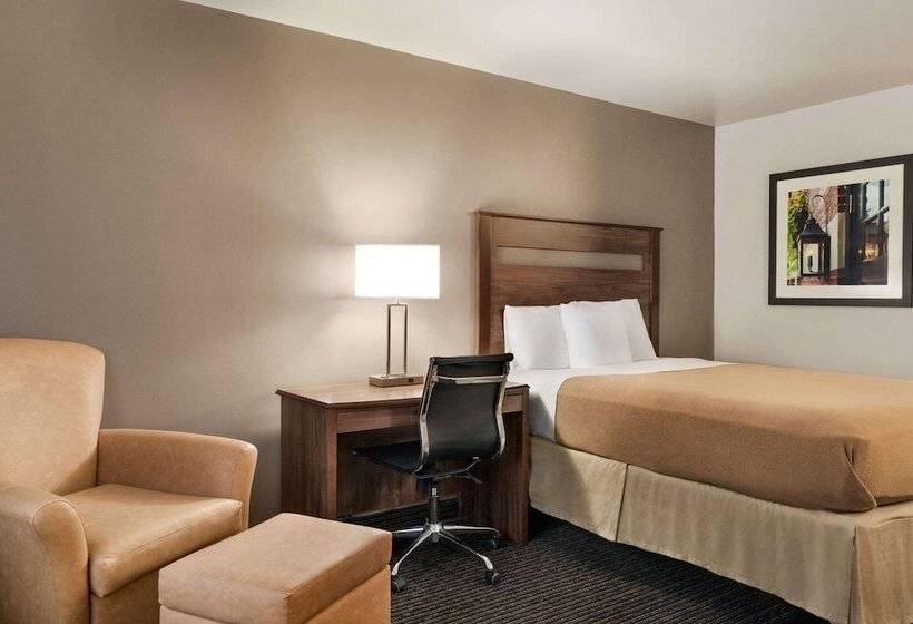 ホテル Baymont By Wyndham Buffalo