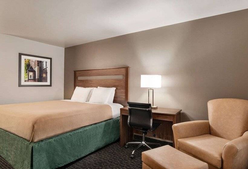 ホテル Baymont By Wyndham Buffalo