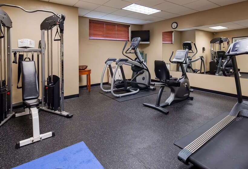 ホテル Best Western Plus Hannaford Inn & Suites