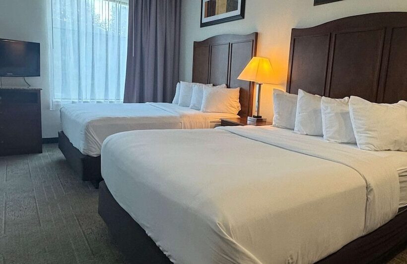 ホテル Best Western Plus Hannaford Inn & Suites