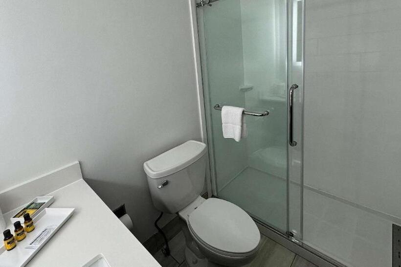 ホテル Best Western Plus Hannaford Inn & Suites