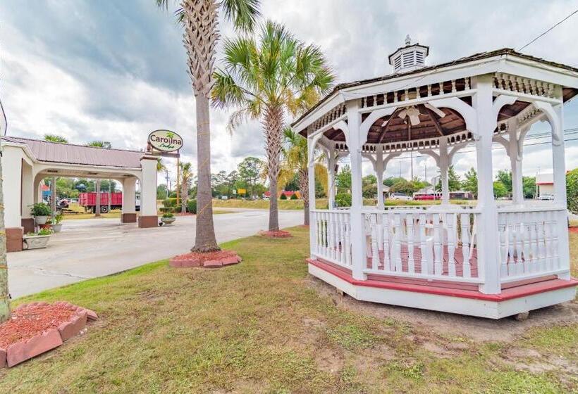 فندق Carolina Lodge