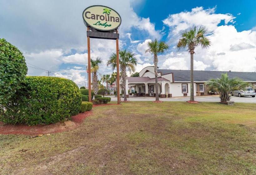 فندق Carolina Lodge