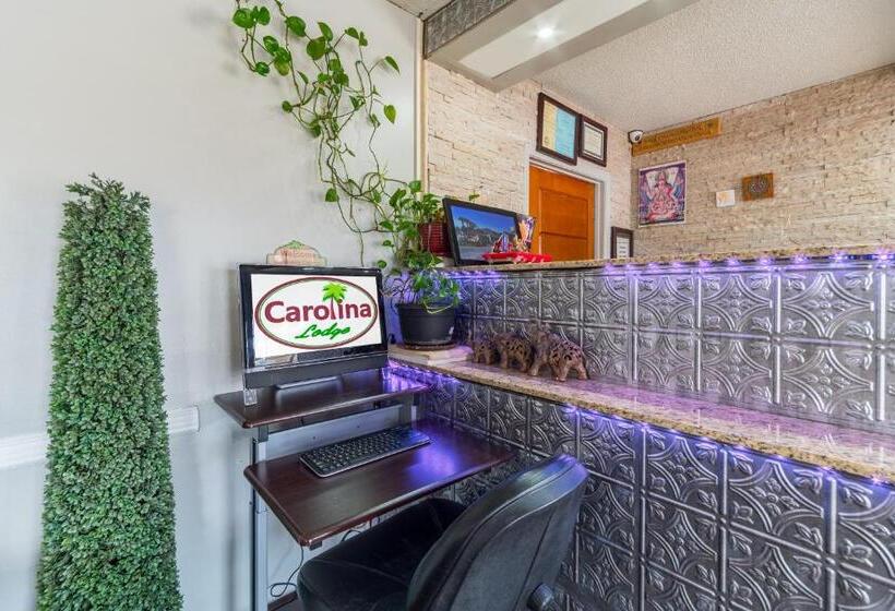 فندق Carolina Lodge