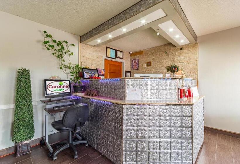 فندق Carolina Lodge