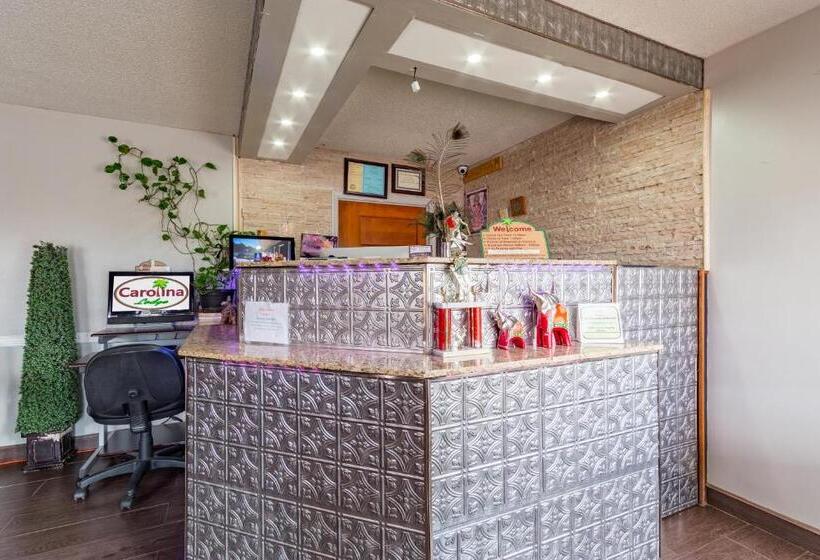 فندق Carolina Lodge