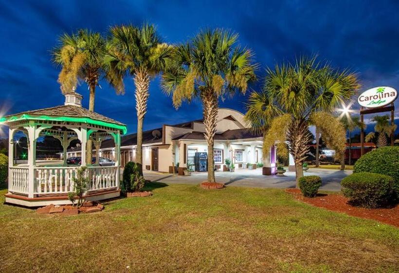 فندق Carolina Lodge