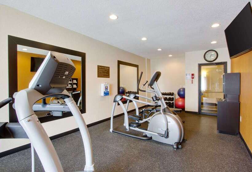 酒店 Comfort Inn & Suites Bellevue Omaha Offutt Afb