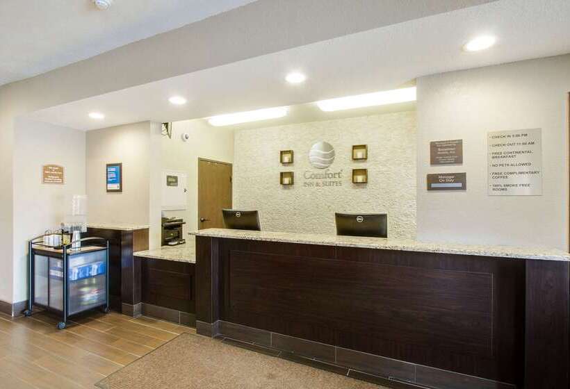 酒店 Comfort Inn & Suites Bellevue Omaha Offutt Afb