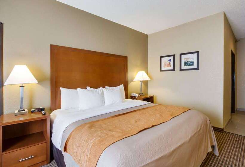 酒店 Comfort Inn & Suites Bellevue Omaha Offutt Afb