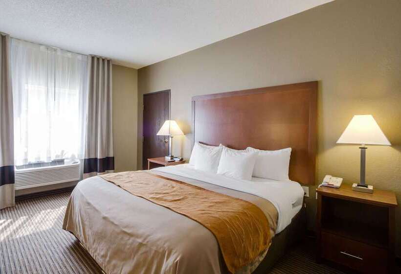 酒店 Comfort Inn & Suites Bellevue Omaha Offutt Afb