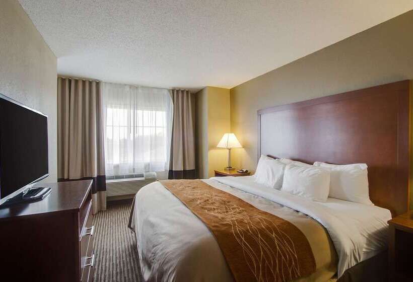 酒店 Comfort Inn & Suites Bellevue Omaha Offutt Afb