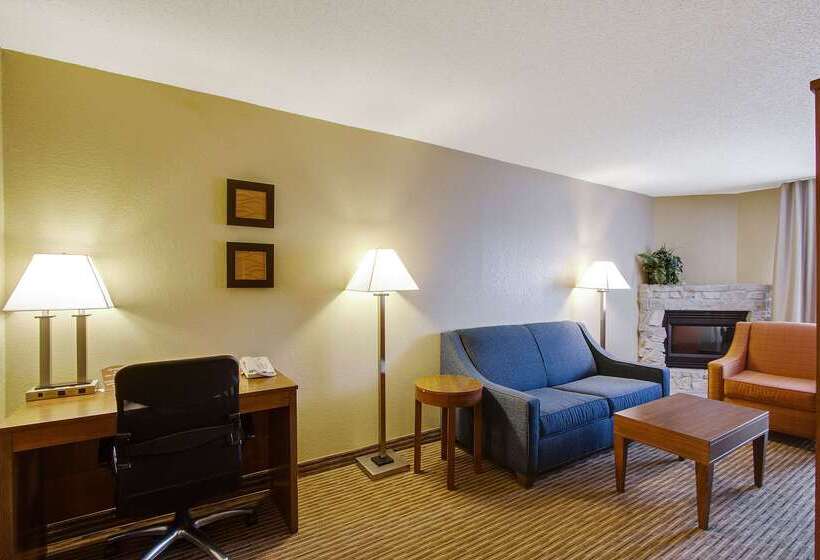 酒店 Comfort Inn & Suites Bellevue Omaha Offutt Afb