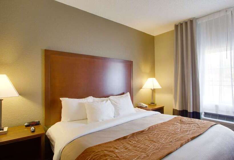 酒店 Comfort Inn & Suites Bellevue Omaha Offutt Afb
