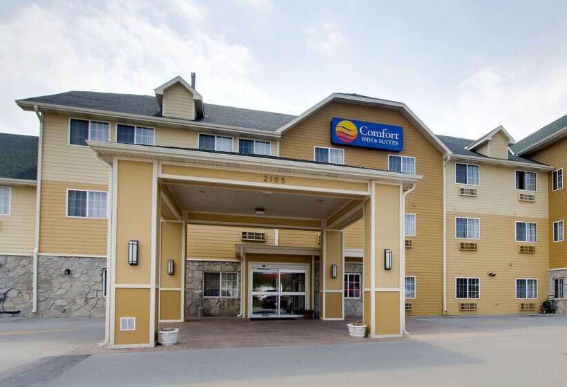 酒店 Comfort Inn & Suites Bellevue Omaha Offutt Afb