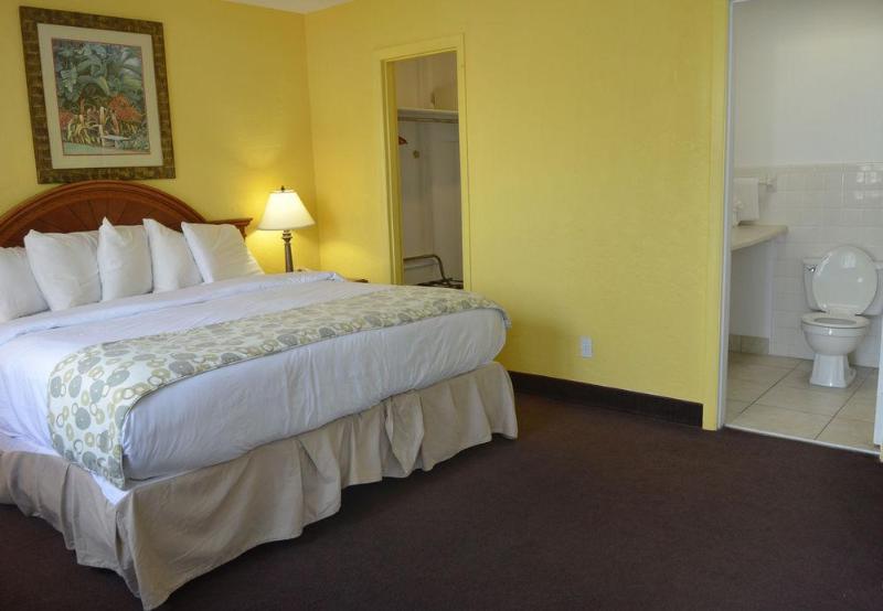 فندق Daytona Dream Inn By Amerivu