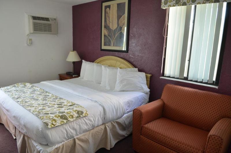 فندق Daytona Dream Inn By Amerivu