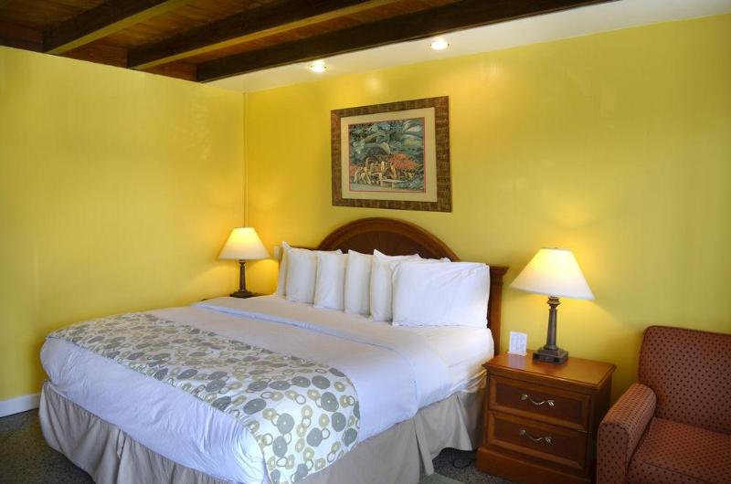 فندق Daytona Dream Inn By Amerivu