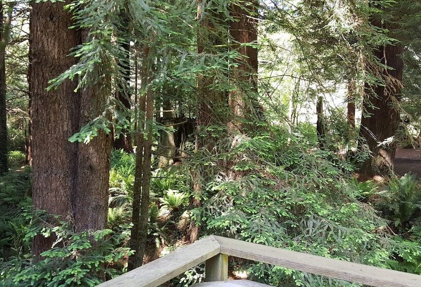 ホテル Emerald Forest Cabins