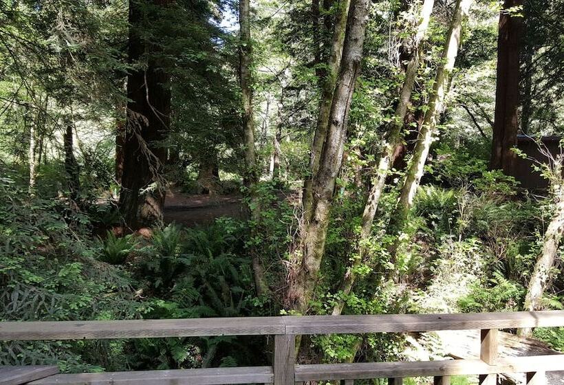 ホテル Emerald Forest Cabins