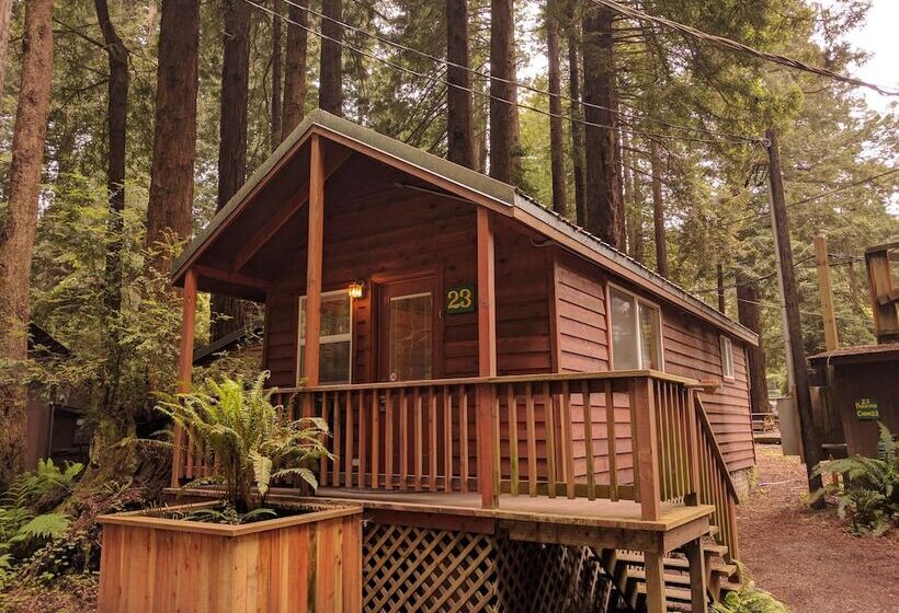 ホテル Emerald Forest Cabins