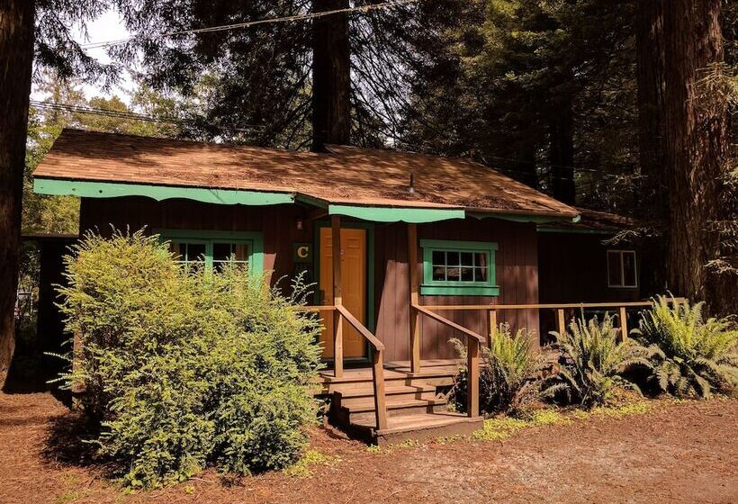 ホテル Emerald Forest Cabins