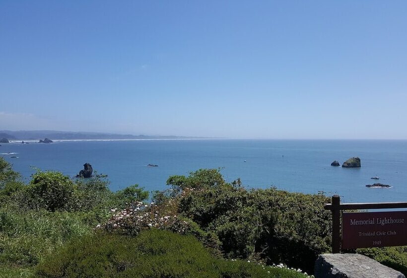 ホテル Emerald Forest Cabins