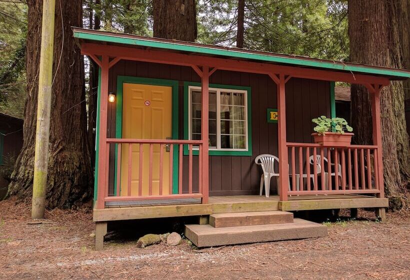 ホテル Emerald Forest Cabins