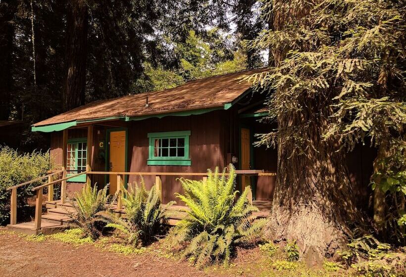 ホテル Emerald Forest Cabins