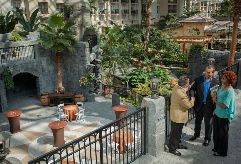 酒店 Gaylord Palms Resort & Convention Center