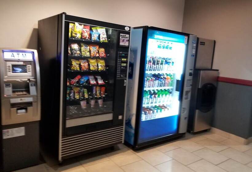 فندق Grand View Inn & Suites