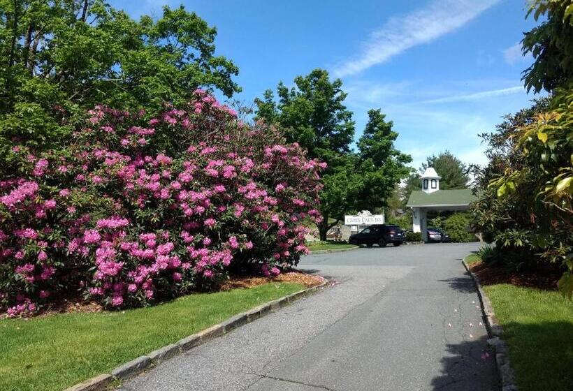 فندق Green Park Inn