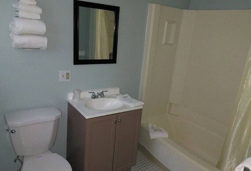 ホテル Harbor Base Pineapple Inn