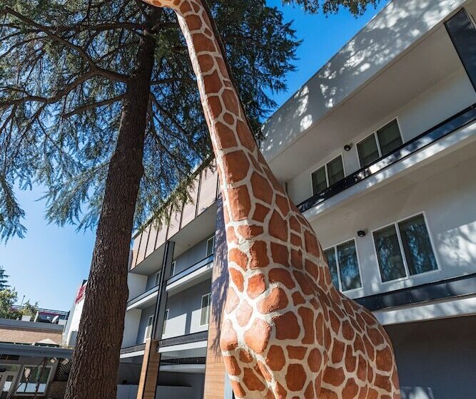 בית מלון כפרי Hilton Garden Inn Davis Downtown