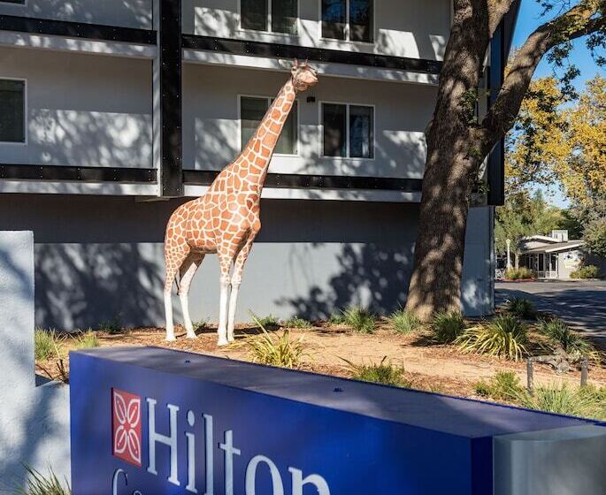 בית מלון כפרי Hilton Garden Inn Davis Downtown