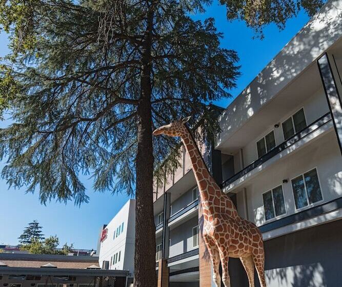 בית מלון כפרי Hilton Garden Inn Davis Downtown