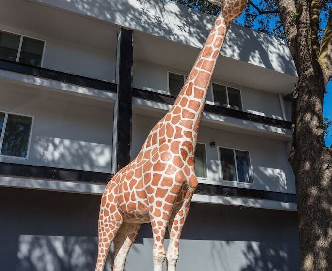 בית מלון כפרי Hilton Garden Inn Davis Downtown