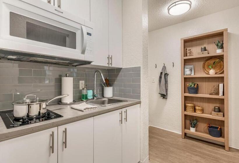 فندق Intown Suites Extended Stay Murfreesboro Tn   Mtsu