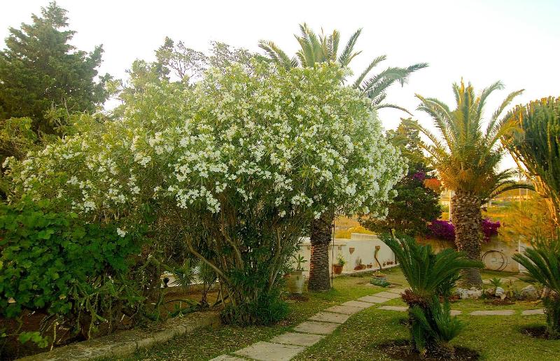 Отель La Rosa Sul Mare