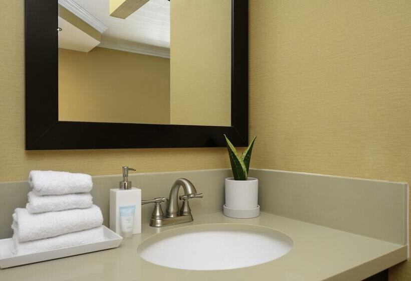 فندق Little Inn By The Bay Newport Beach