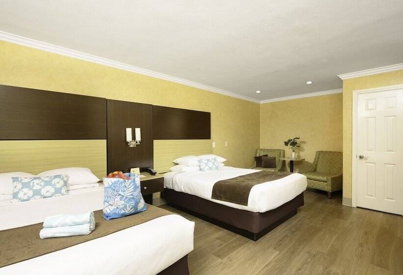 فندق Little Inn By The Bay Newport Beach