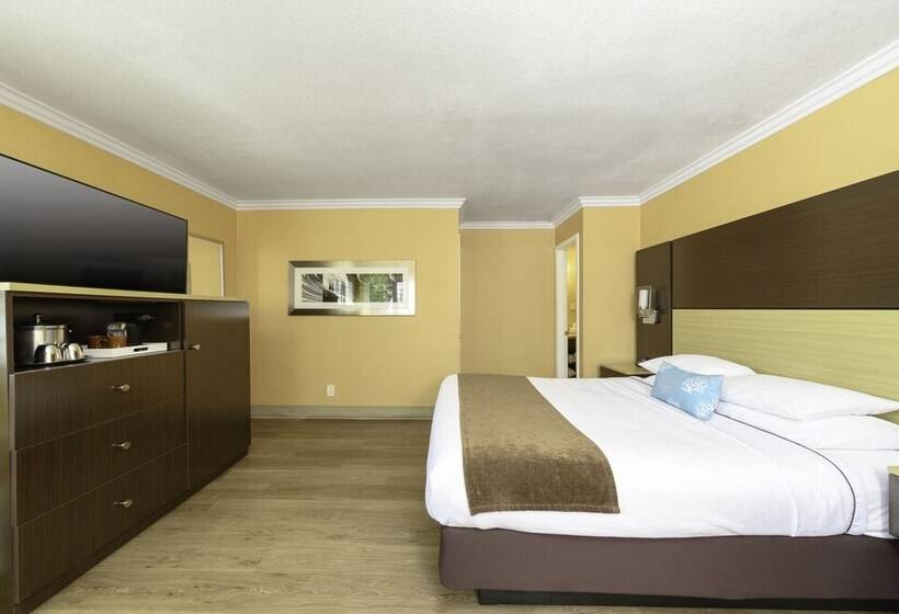 فندق Little Inn By The Bay Newport Beach