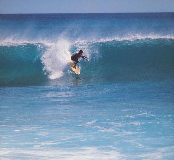 호텔 Little Inn By The Bay Newport Beach