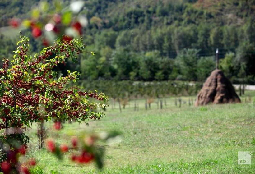 호텔 Locanda Dei Cinque Cerri